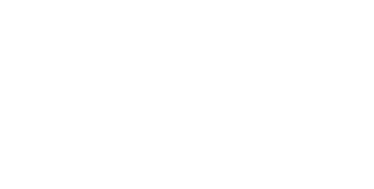 Raptor Intelligence mark